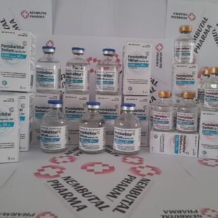 Nembutal (pentobarbital) capsules - sedative and hypnotic medication